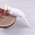 products/product-image-953665942.jpg