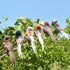 Artificial Foam Birds Lawn Figurine Ornament Photo Props Yard Garden Craft Decor with Clip Party Decor Gardening Supply